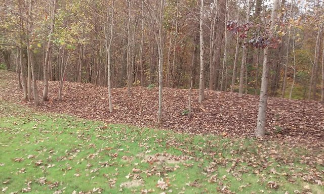 6113 Redtop Loop, Fairburn, GA 30213 photo 4