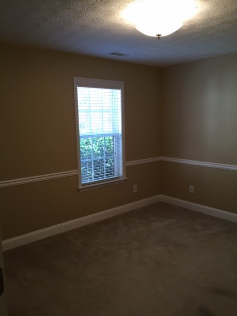 171 Bridgemill Dr, Hampton, GA 30228 photo 17