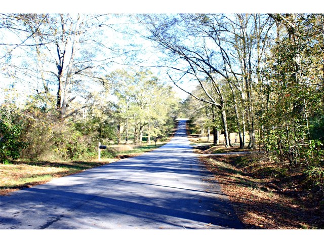 303 College St, Lagrange, GA 30241 photo 19