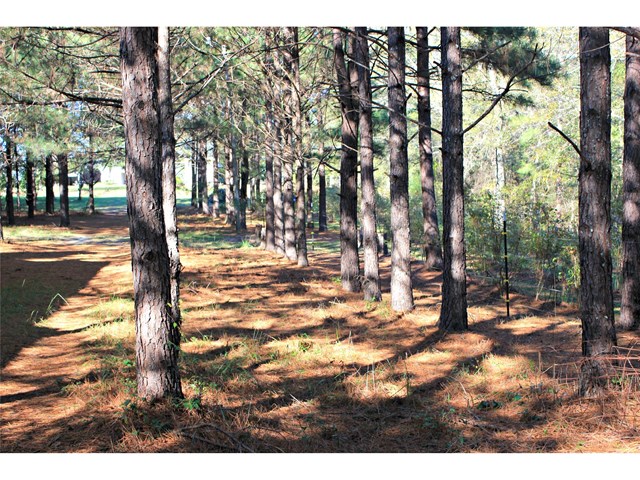 303 College St, Lagrange, GA 30241 photo 16