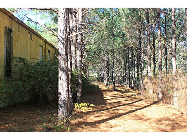 303 College St, Lagrange, GA 30241 photo 15