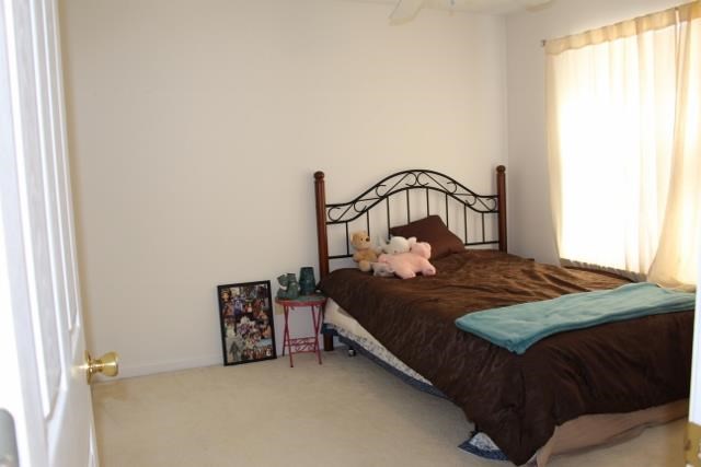 149 Summit View Dr, Mcdonough, GA 30253 photo 18