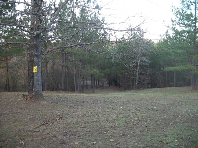 668 Mcgee Bend Rd, Cave Spring, GA 30124 photo 5