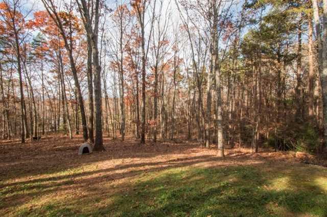 1685 Ridge Rd, Canton, GA 30114 photo 18