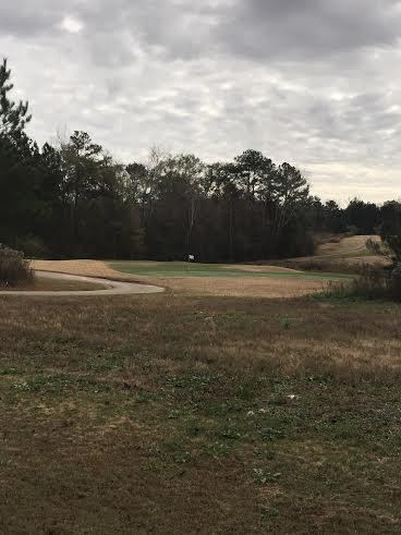 3501 Five Iron, Hampton, GA 30228 photo 14