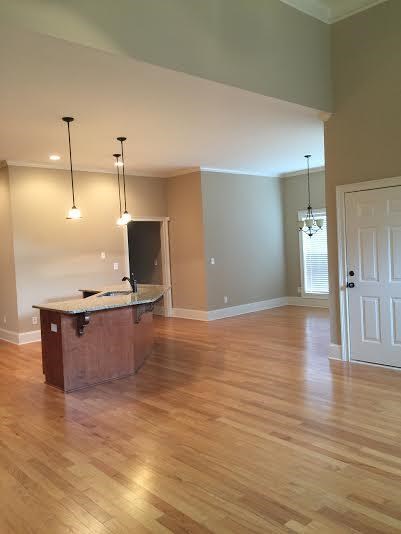 3501 Five Iron, Hampton, GA 30228 photo 9