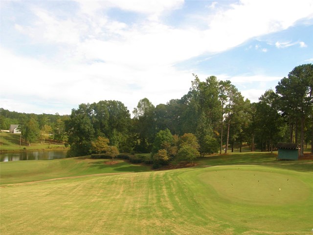 312 Eagle Crest Dr, Macon, GA 31211 photo 25