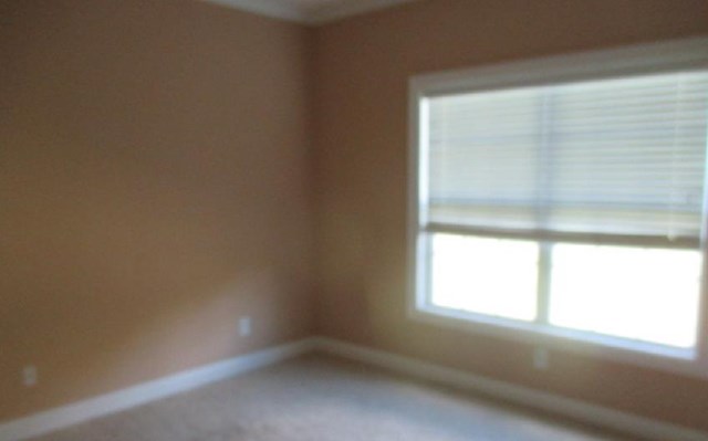 20 David Dr, Cave Spring, GA 30124 photo 10