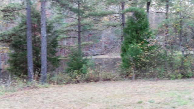 2310 Bartley Rd, Lagrange, GA 30240 photo 4