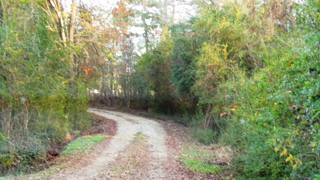 2310 Bartley Rd, Lagrange, GA 30240 photo 10