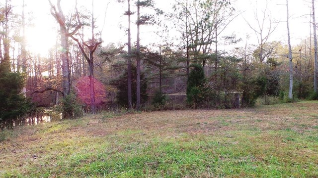 2310 Bartley Rd, Lagrange, GA 30240 photo 2