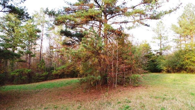 2310 Bartley Rd, Lagrange, GA 30240 photo 8