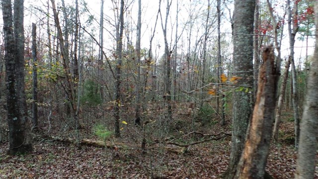 2310 Bartley Rd, Lagrange, GA 30240 photo 6