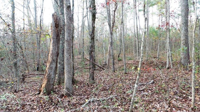 2310 Bartley Rd, Lagrange, GA 30240 photo 5