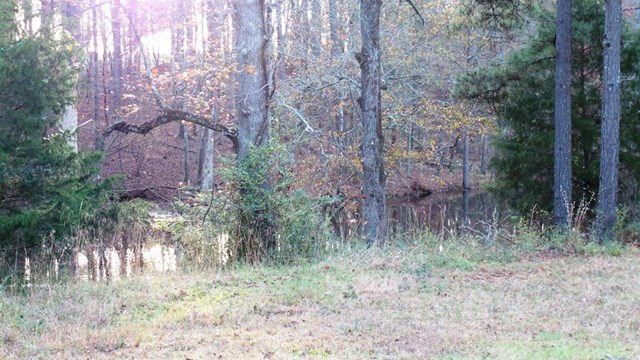2310 Bartley Rd, Lagrange, GA 30240 photo 3