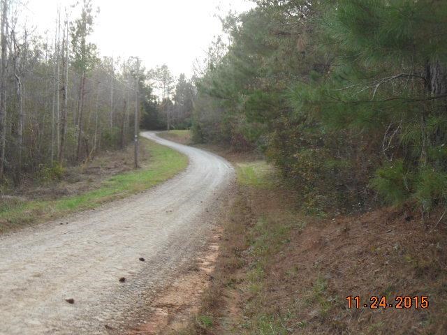 172 Roseberry Ln, Covington, GA 30016 photo 10
