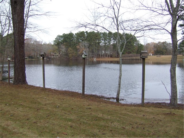 785 Tyrone Rd, Tyrone, GA 30290 photo 2