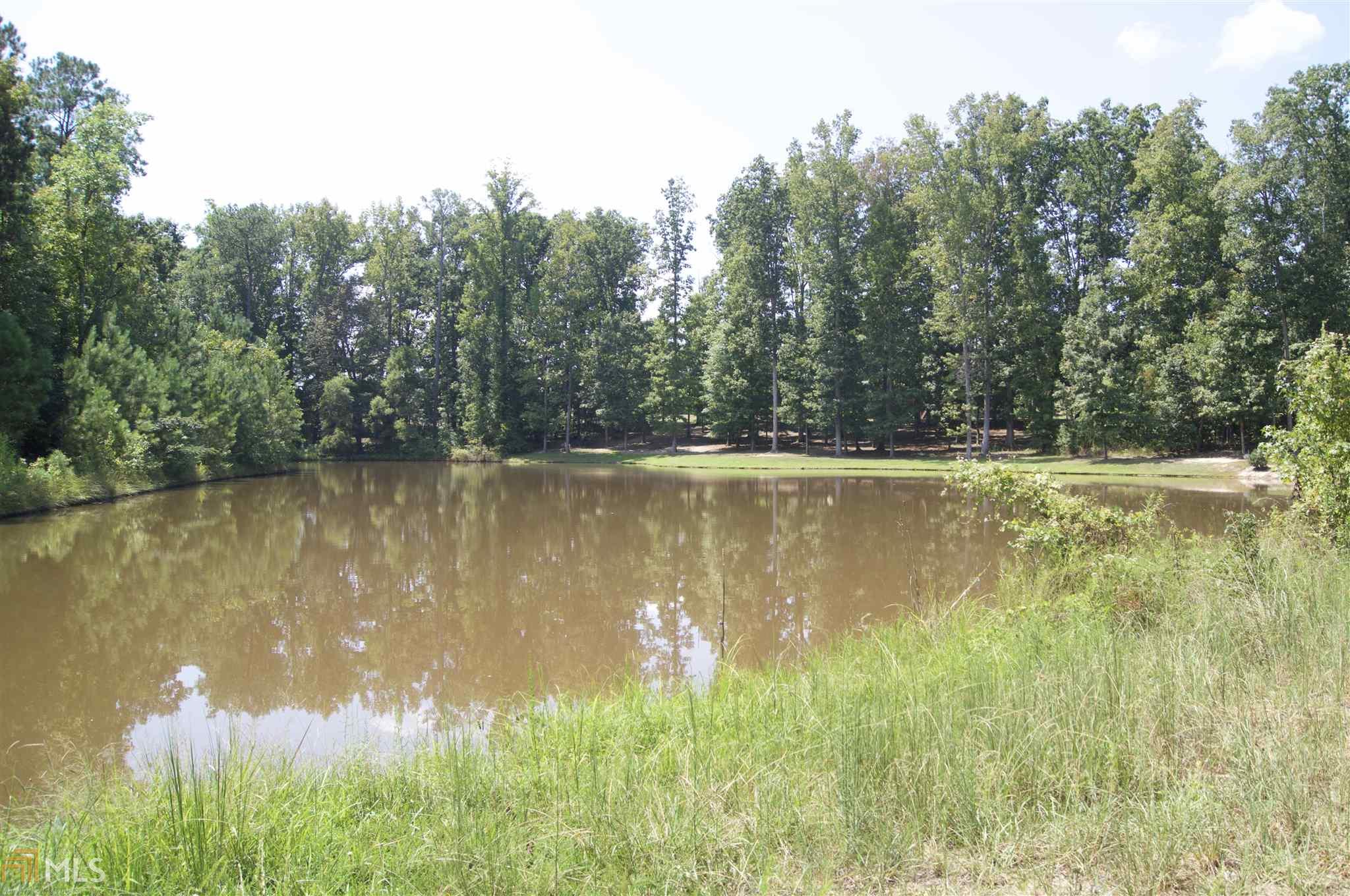 1192 Ward Rd, Williamson, GA 30292 photo 8