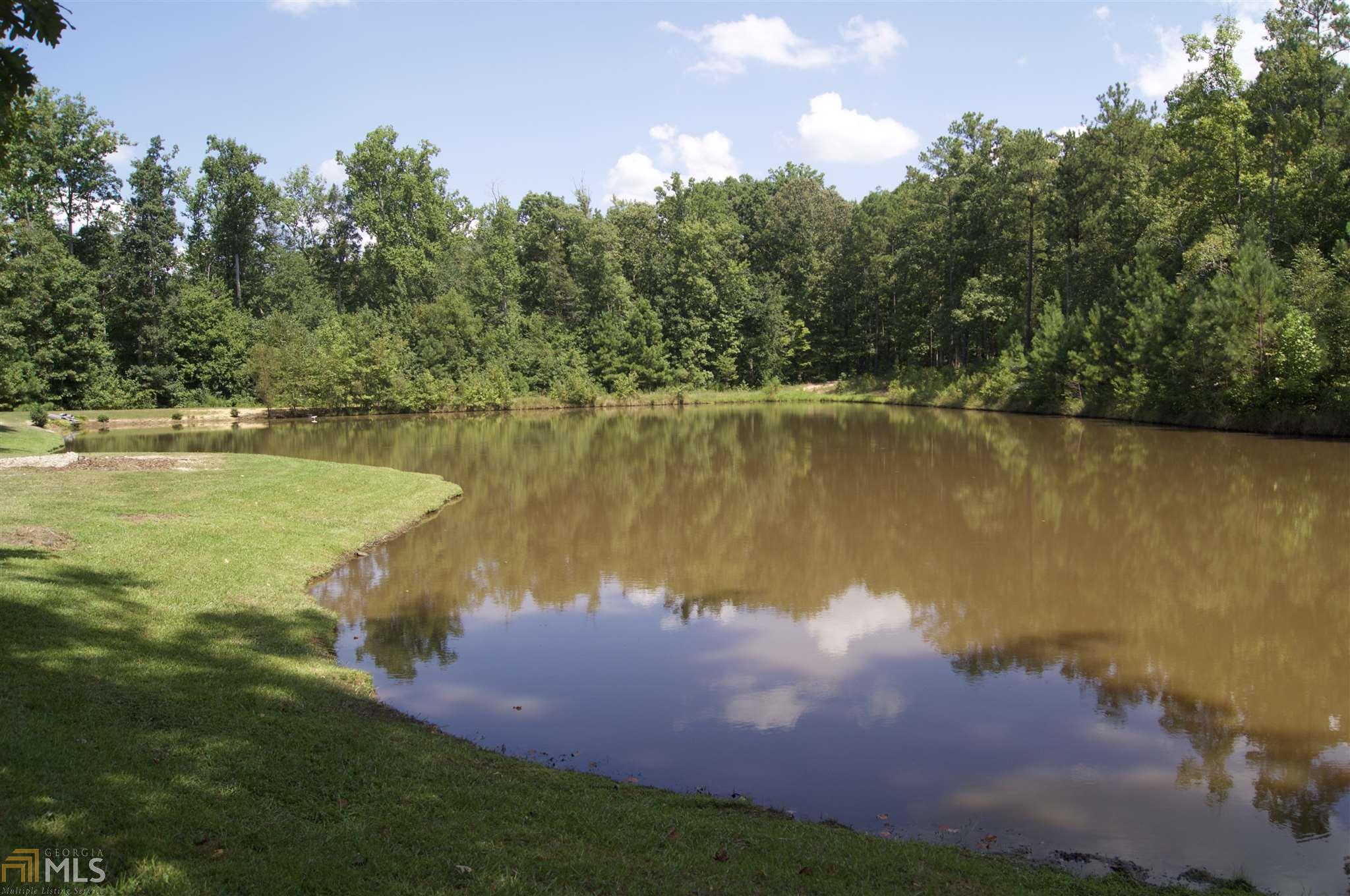 1192 Ward Rd, Williamson, GA 30292 photo 11