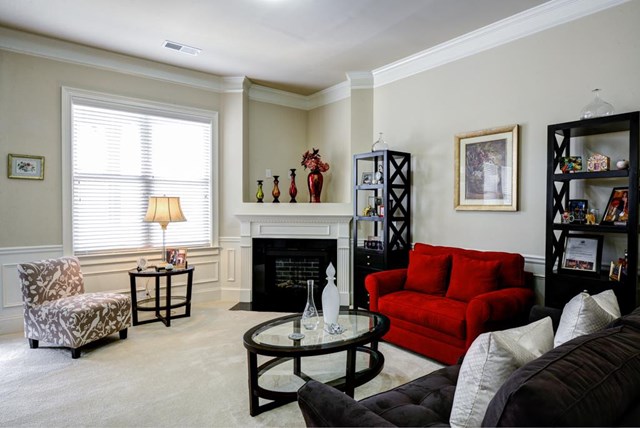 156 Snow Bird Dr, Hampton, GA 30228 photo 16