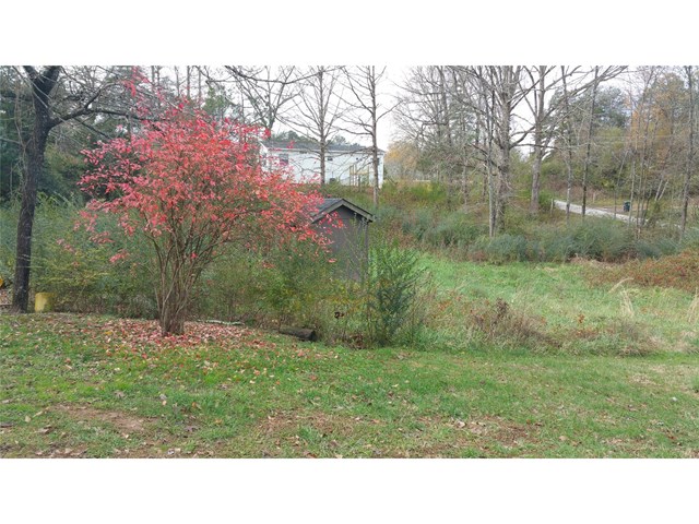 1613 Robertson Loop Rd, Clarkesville, GA 30523 photo 6