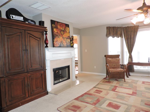 219 Rustico Ct, Mcdonough, GA 30253 photo 4
