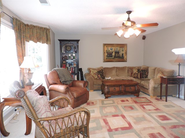 219 Rustico Ct, Mcdonough, GA 30253 photo 5