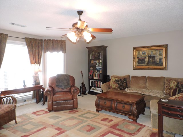 219 Rustico Ct, Mcdonough, GA 30253 photo 6