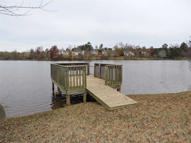 219 Rustico Ct, Mcdonough, GA 30253 photo 20
