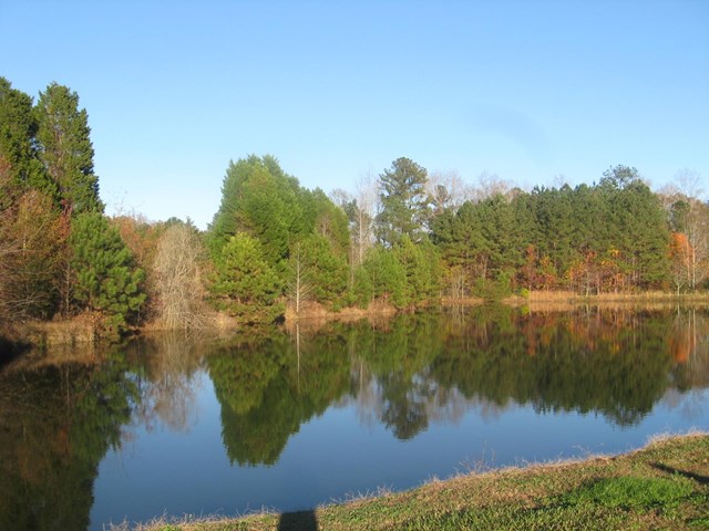 3099 High Falls Rd, Jackson, GA 30233 photo 2