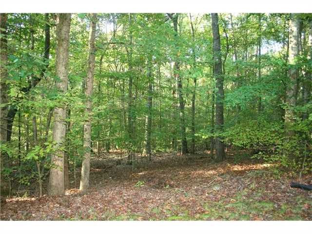 3940 Noblin Ridge Dr, Duluth, GA 30097 photo 25