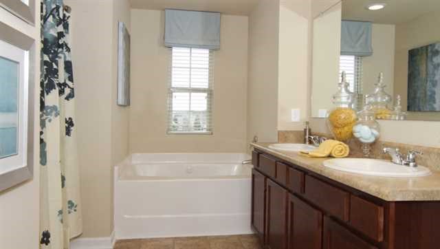 2294 Sawgrass Dr, Hampton, GA 30228 photo 14