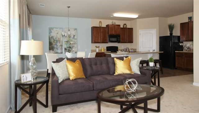 2294 Sawgrass Dr, Hampton, GA 30228 photo 6