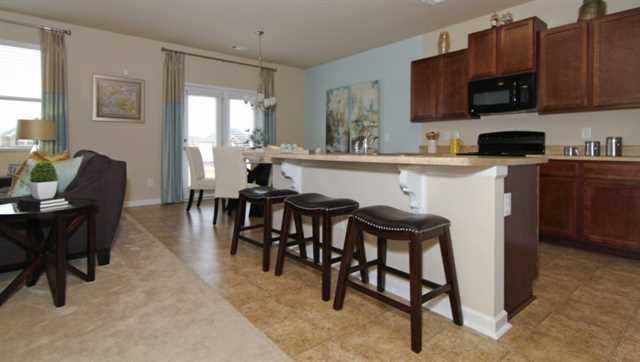 2294 Sawgrass Dr, Hampton, GA 30228 photo 7