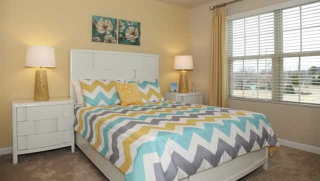 2294 Sawgrass Dr, Hampton, GA 30228 photo 16