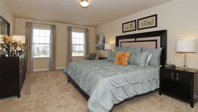 2294 Sawgrass Dr, Hampton, GA 30228 photo 11