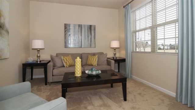 2294 Sawgrass Dr, Hampton, GA 30228 photo 3