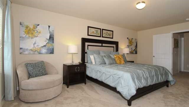 2294 Sawgrass Dr, Hampton, GA 30228 photo 12