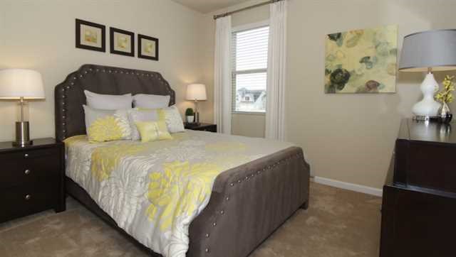 2294 Sawgrass Dr, Hampton, GA 30228 photo 18