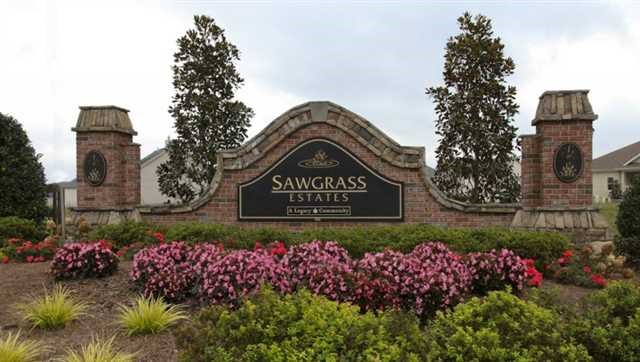 2294 Sawgrass Dr, Hampton, GA 30228 photo 19