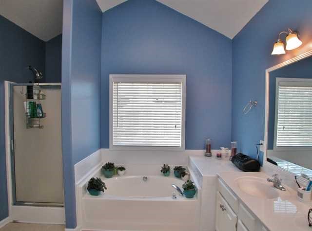 302 Mckendree Ct, Bethlehem, GA 30620 photo 17