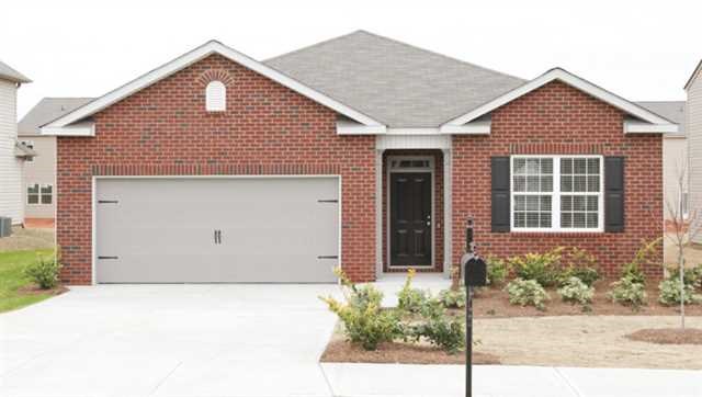 2216 Sawgrass Dr, Hampton, GA 30228 photo 2