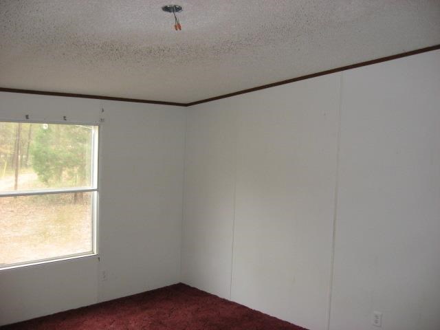 1163 Daniel Rd, Thomaston, GA 30286 photo 7