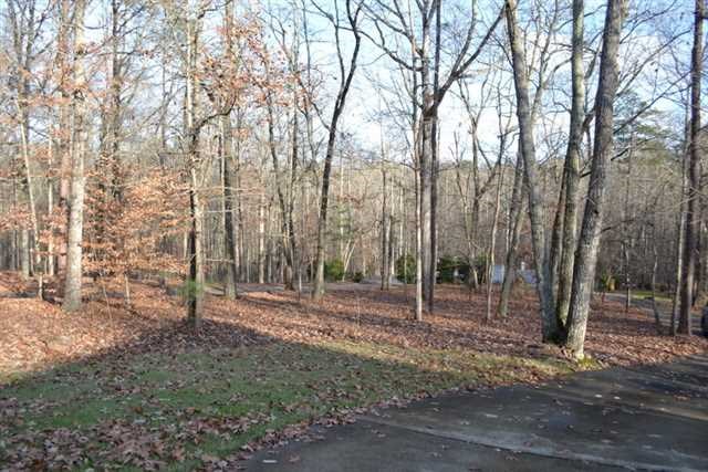 9145 Patrick Pl, Winston, GA 30187 photo 23