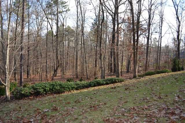 9145 Patrick Pl, Winston, GA 30187 photo 22