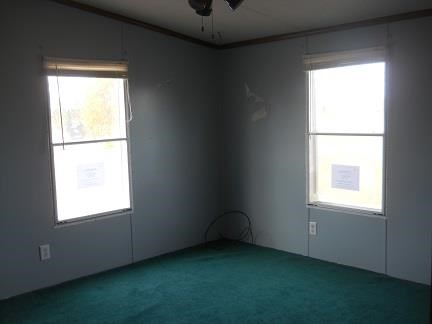 3200 Settlement Rd, Register, GA 30452 photo 3