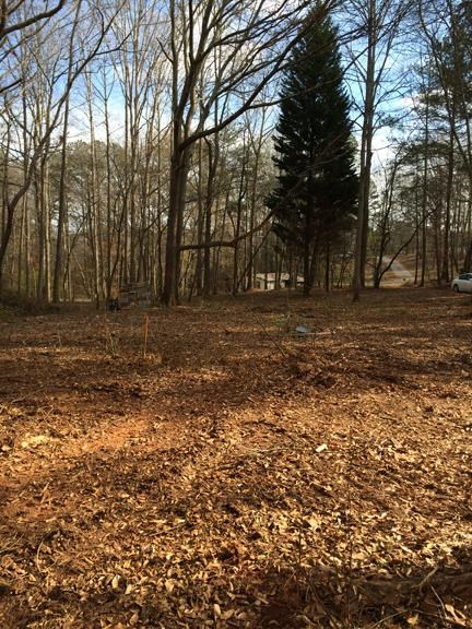 111 Cove Dr, Temple, GA 30179 photo 1