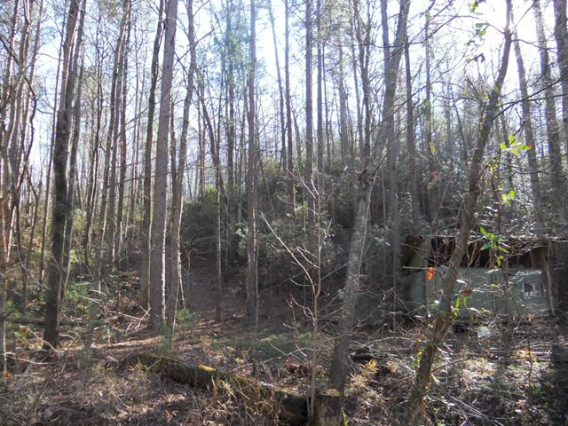 741 Carnes Rd, Tiger, GA 30576 photo 7