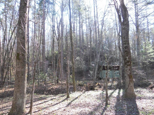 741 Carnes Rd, Tiger, GA 30576 photo 2