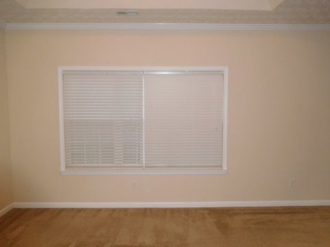 904 Galloway Ct, Mcdonough, GA 30253 photo 10